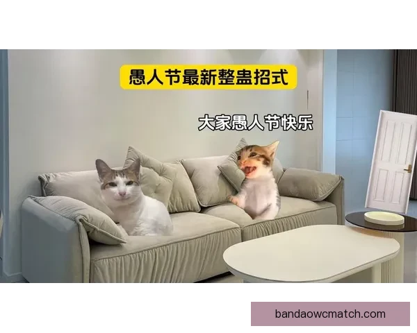 奇才就愚人节整蛊事件公开致歉称剧情早已编排并强调球迷最重要地